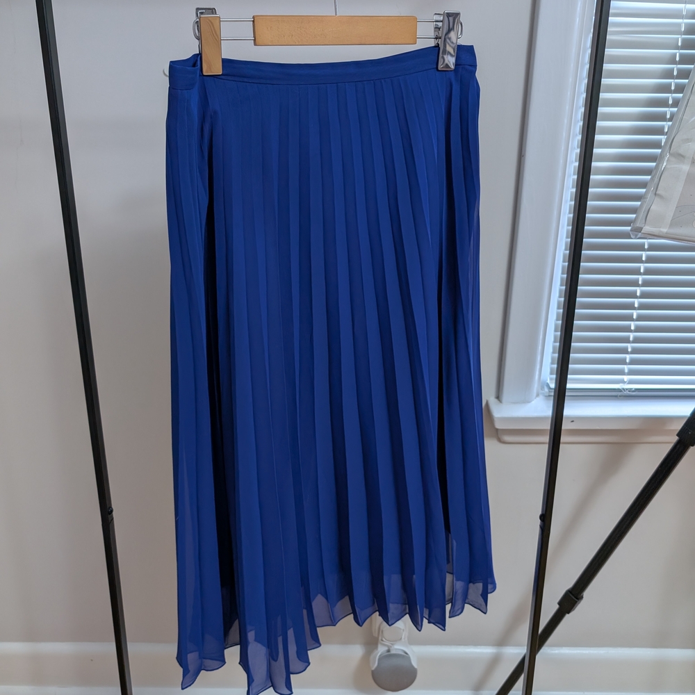 Elegant Blue Pleated Skirt (Dex)